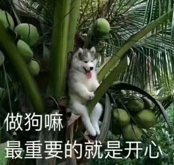 刚到大年初一，我就拿了个钻石大礼！