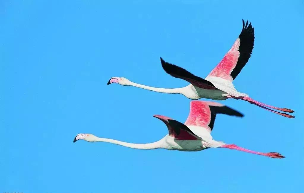 春节七天乐精彩不重样,春节7天旅游