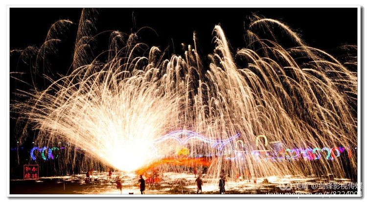 鄢陵花木博览会现场直播,鄢陵县西山区中原花木博览会