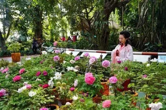 广州旅游景点推荐团购,春节广州有哪些好玩的景点推荐