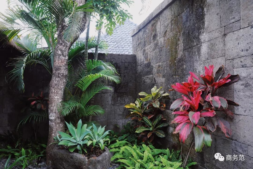 宝格丽婚礼,巴厘岛宝格丽酒店举办婚礼