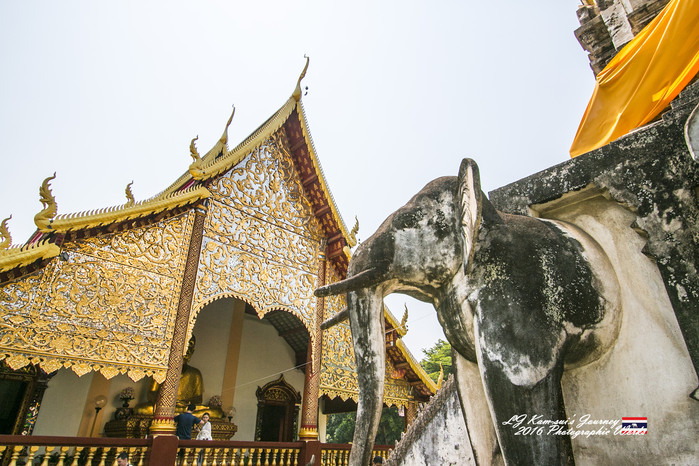 清迈佛寺之城等你采撷的泰北玫瑰,清迈环球旅行家