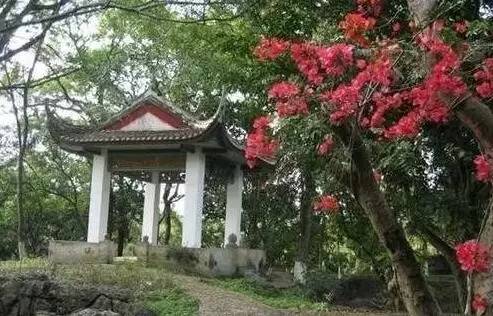 武鸣要撤区建市吗,武鸣未来发展规划