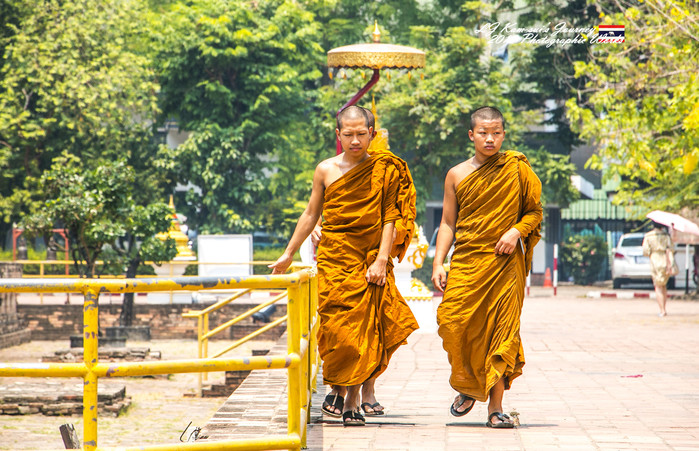 清迈佛寺之城等你采撷的泰北玫瑰,清迈环球旅行家