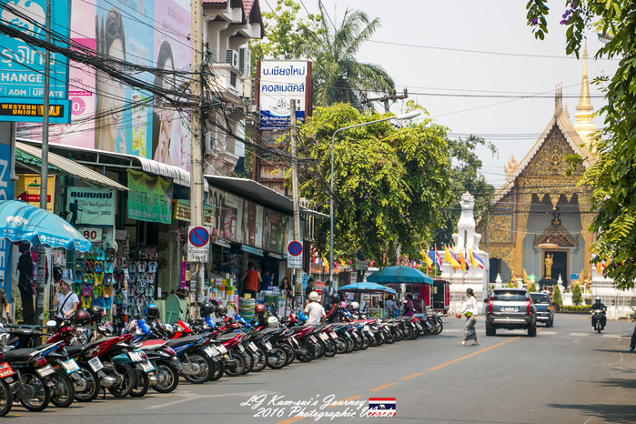 清迈佛寺之城等你采撷的泰北玫瑰,清迈环球旅行家