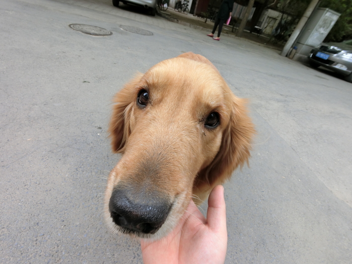 卡西欧fr100l和卡西欧fr100区别,卡西欧exfr10和fr100的区别