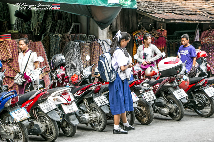 清迈佛寺之城等你采撷的泰北玫瑰,清迈环球旅行家