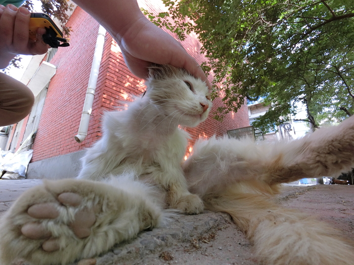 卡西欧exfr100摄像头,卡西欧fr100和fr100l的区别