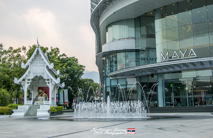 清迈佛寺之城等你采撷的泰北玫瑰,清迈环球旅行家