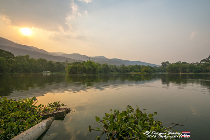 清迈佛寺之城等你采撷的泰北玫瑰,清迈环球旅行家
