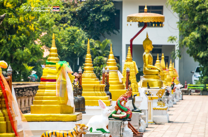 泰国清迈县旅行者,清迈佛寺之城等你采撷的泰北玫瑰