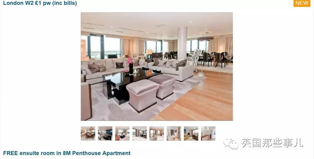 陪他们嗨他们就给你豪宅免费住。今天伦敦这条画风清奇的招租，我不敢去-。-！