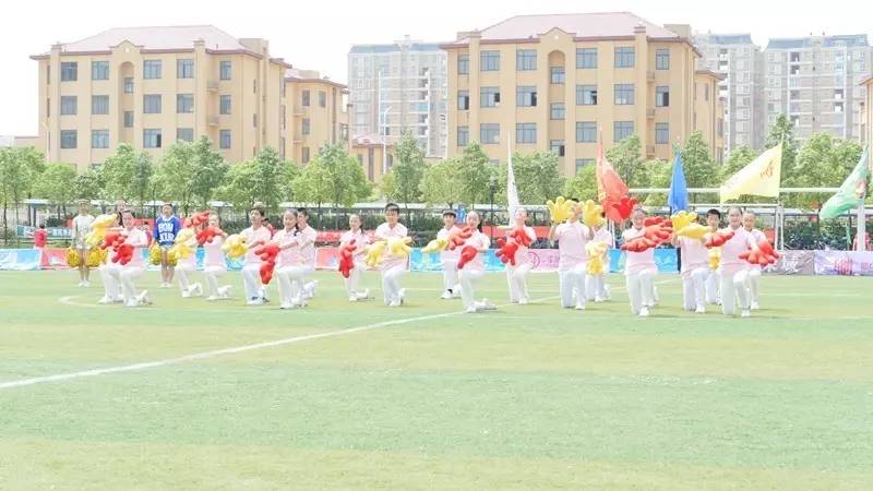 信阳市第7届市长杯足球赛小学组,信阳市第7届足球赛