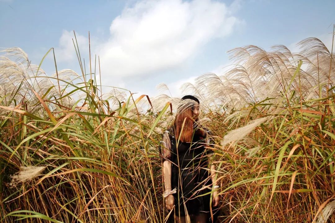 春节上海深度游玩攻略,上海春节游玩攻略老城区