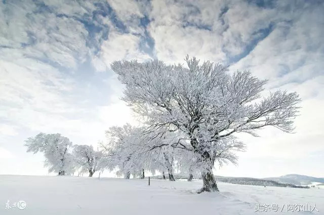 雪藏原版是谁,雪藏哪年出的歌