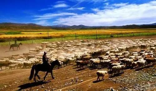 石家庄去海南可以坐火车吗,河北哪个地方坐火车可以直达三亚