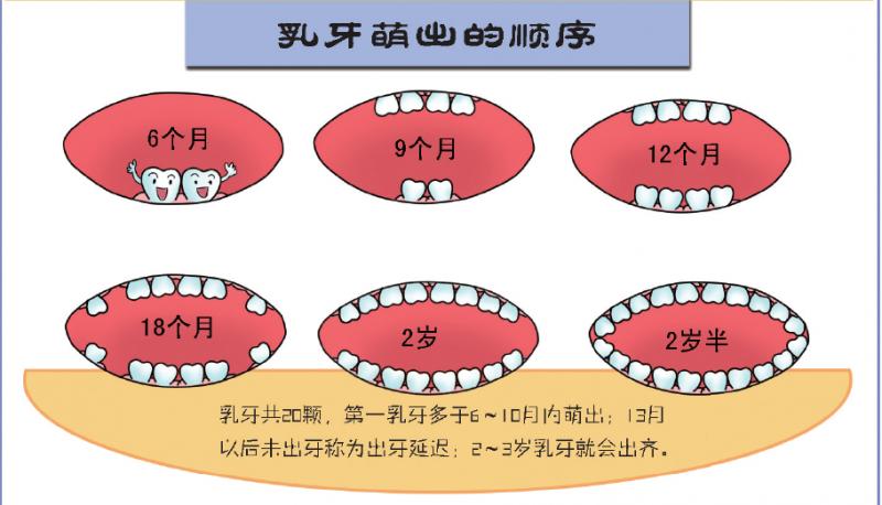 崔玉涛讲自愈,崔玉涛口腔护理方法