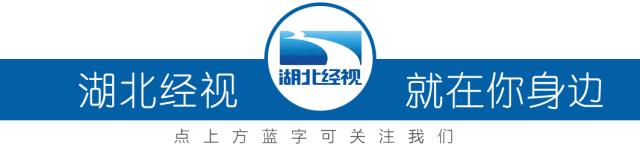 武汉的哥为送病人连闯红灯,违法记录能消除吗?丨《经视直播》