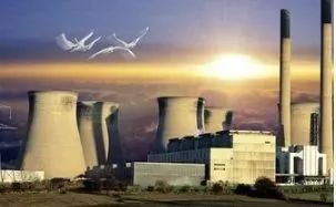 这十大专业冷门却高薪,十大最冷门专业