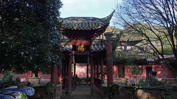 「爱上这座城」满地尽带“黄金甲”的崇州，会是怎样的惊艳？