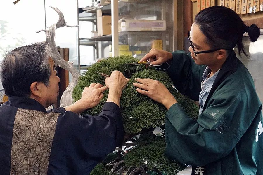 手艺失传可咋办？中国徒弟有方案