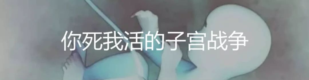 怀孕恐惧症能吃中药调理吗,怀孕恐惧症怎么克服