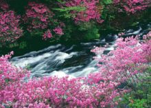 湖南株洲市炎陵县,湖南省株洲市炎陵县介绍