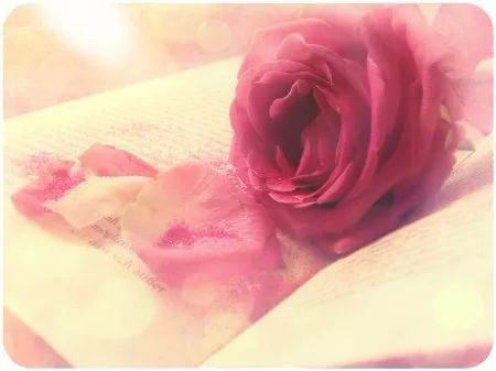 「难以置信」3.8元!昌吉二维码扫出肌肉欧巴?拎包、拍照很贴心!