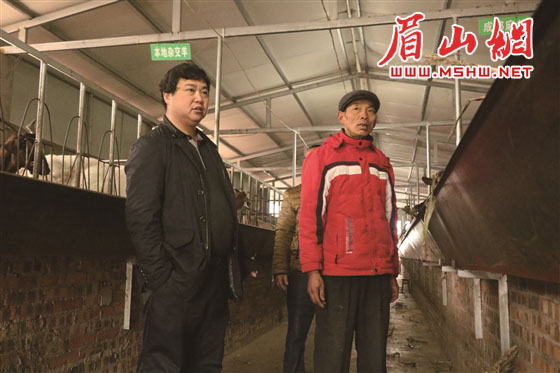 新时代创业理念,新时代丹棱