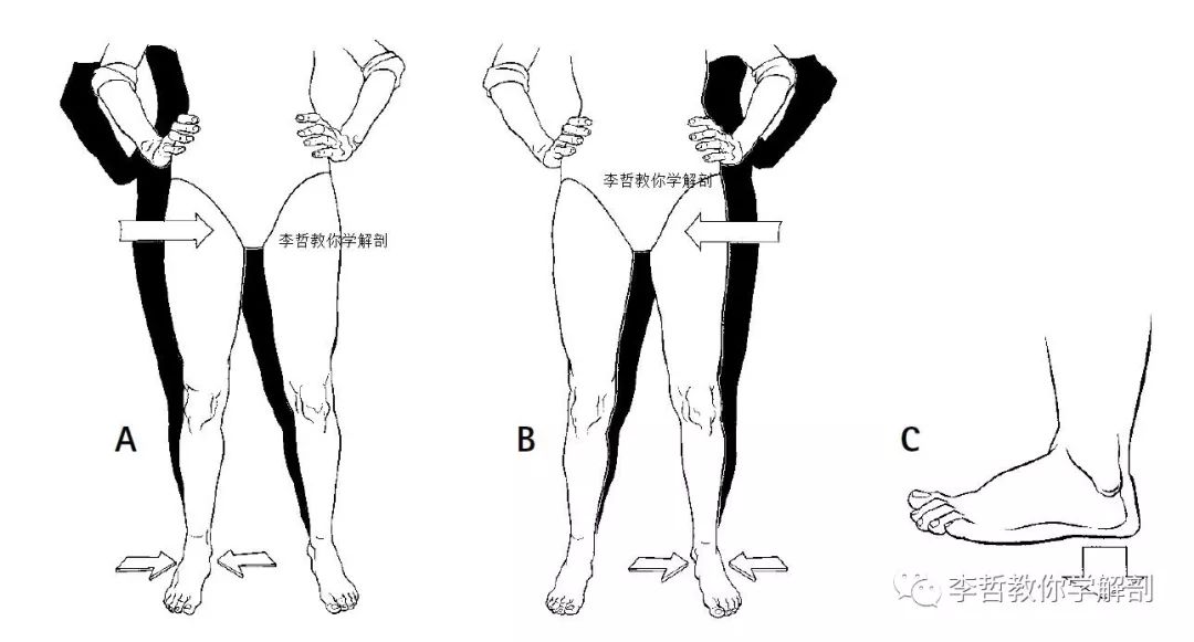 这个神奇的练习看似简单,能做到位的不多,为您解决孕期和产后骨盆疼痛又一招