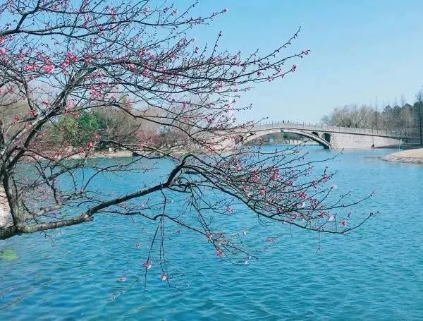 梅时莓刻惊蛰春！这一份青浦春游完整版攻略请收好~