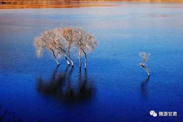 陇南礼县秦皇故里视频,陇南礼县为什么叫秦皇故里