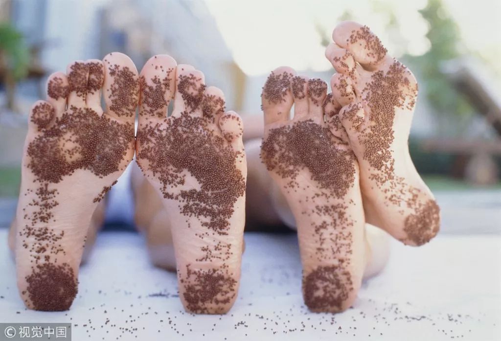 人体哪些地方最脏,人体5脏指哪几个部位