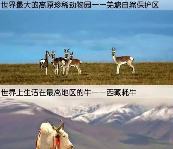 石家庄去海南可以坐火车吗,河北哪个地方坐火车可以直达三亚