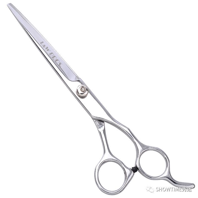 新手铲屎官养宠物该怎么办,怎么成为合格的养狗铲屎官