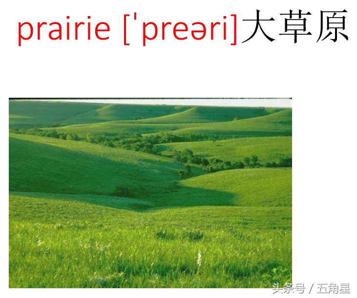 5分钟的英语趣味教学视频,关于自然景观的英语单词3至6年级