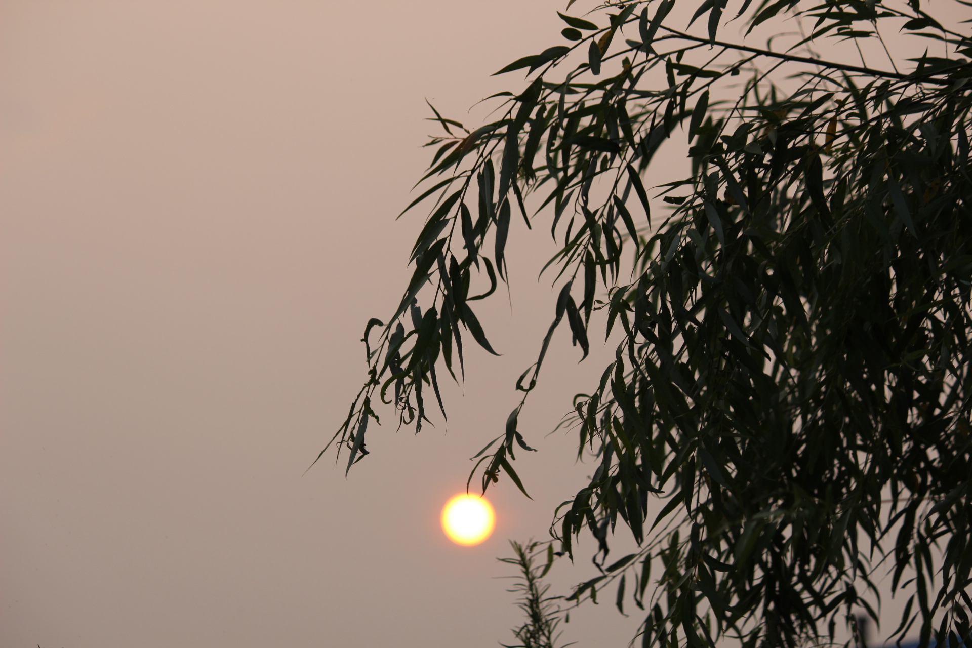 往事成烟---日本人三好武男先生和我的家乡北甸村