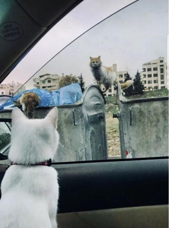 相机和手机拍照的效果区别在哪呢,相机与手机拍摄效果对比