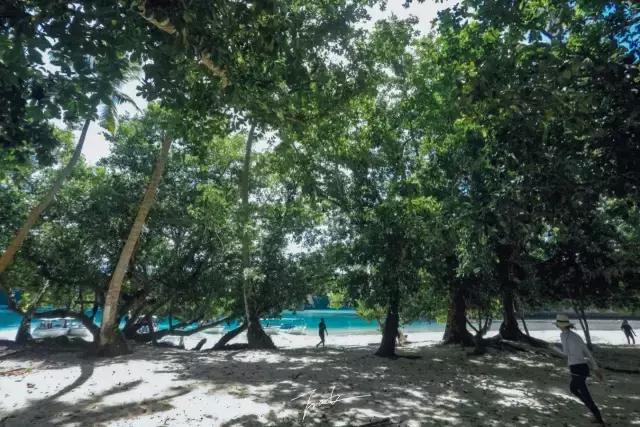 帕劳深度游出海,帕劳深潜体验