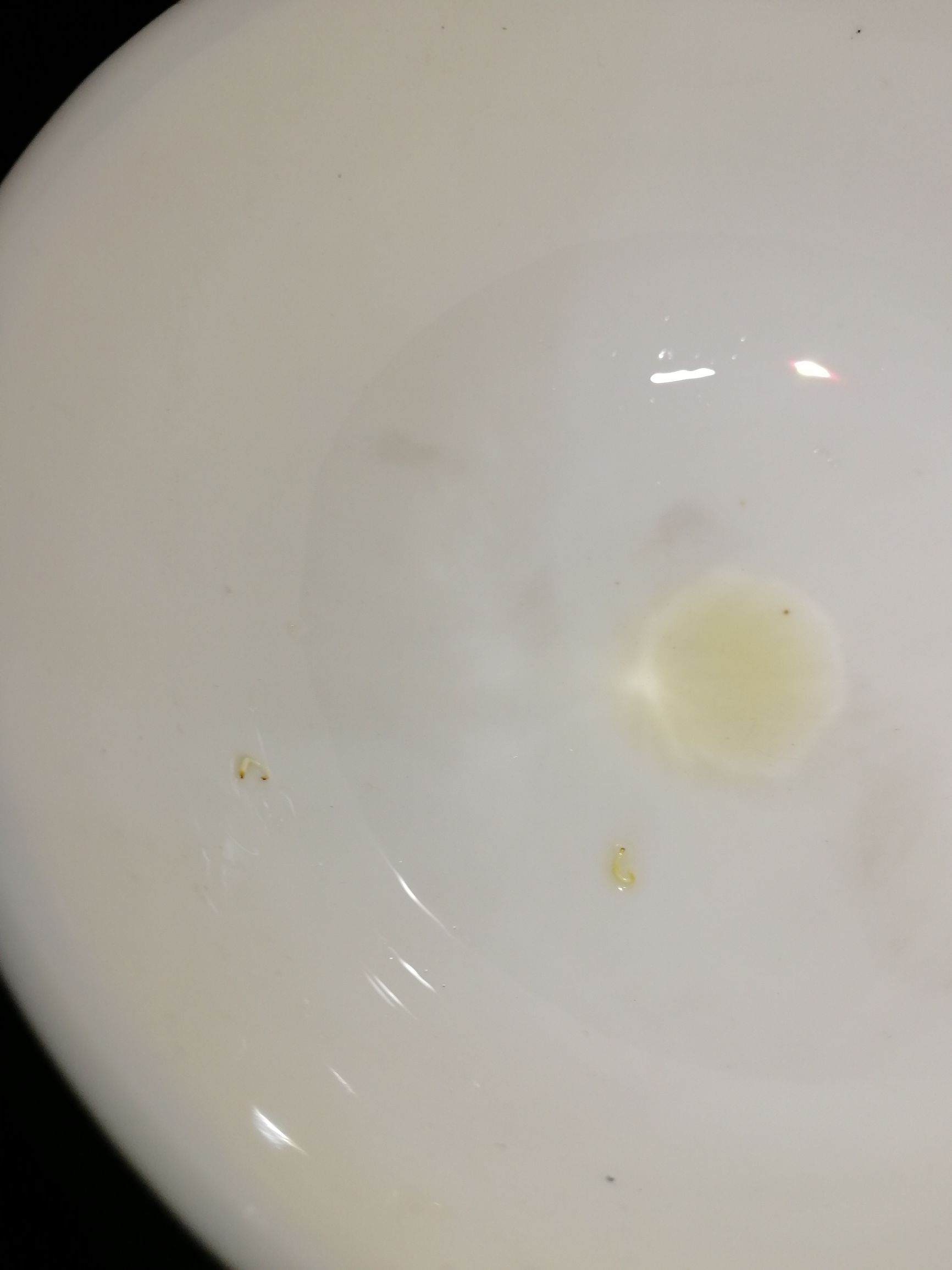 牙疼真要命，土方老办法救你与水火之中，民间传统文化不信不行