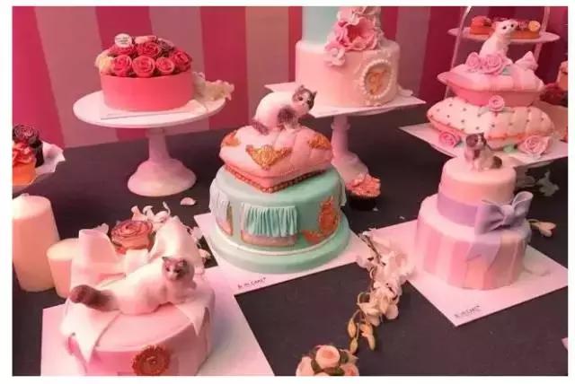 还珠三姐妹现在怎么样了,还珠三姐妹现在怎样了