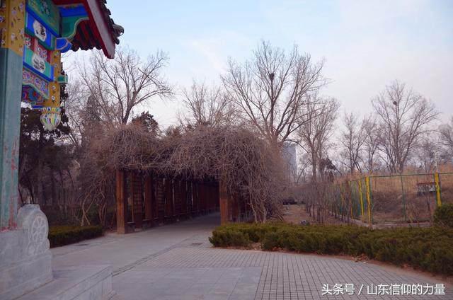 假期最后一天探访皇明集团总部所在的中国太阳谷