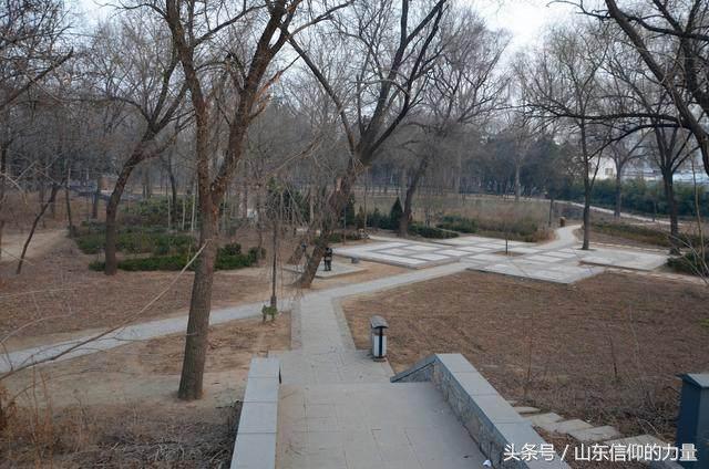 假期最后一天探访皇明集团总部所在的中国太阳谷