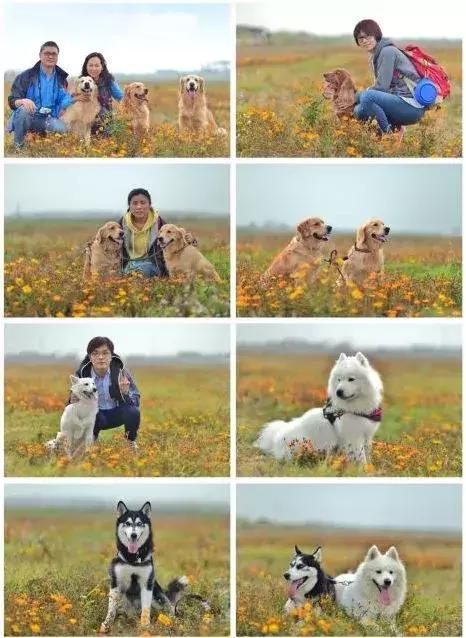 亲子游好去处!番禺周边的农家乐、游乐场、文化园…充实又好玩!