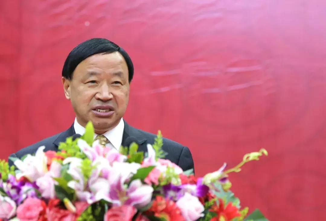 林洋能源战略规划,林洋能源领导考察