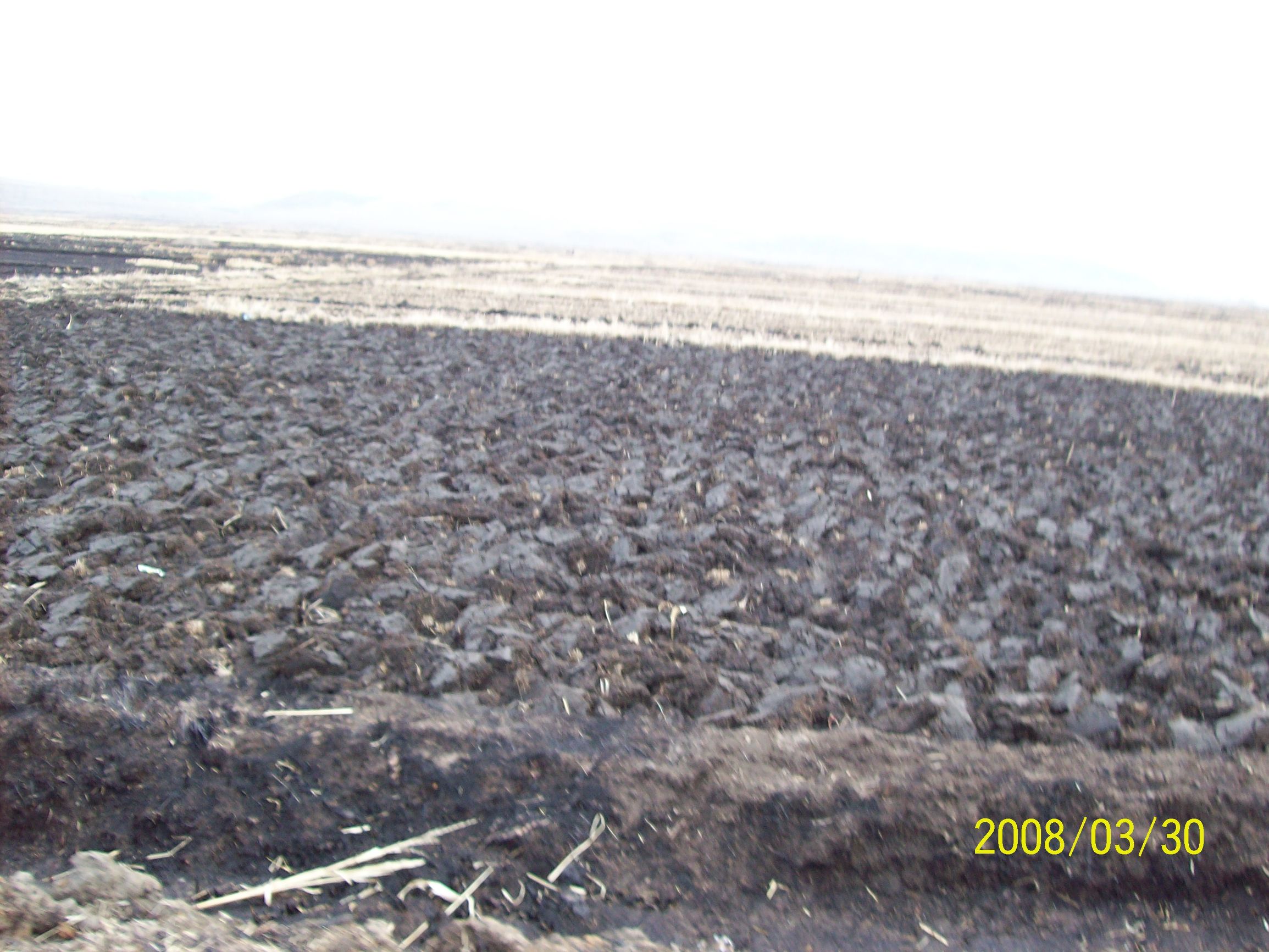 往事成烟---日本人三好武男先生和我的家乡北甸村
