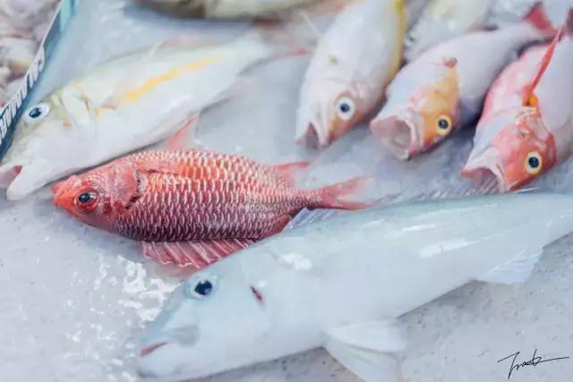 帕劳去玩的人多吗,帕劳到巴厘岛