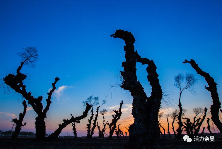 45万人的名片,太漂亮了!!《奈曼人的名片》最新版,45万次!!!精工打造!!!