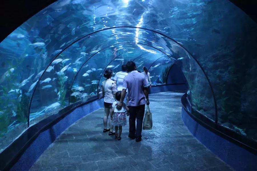 400亿的项目工程大不大,400亿的项目广西