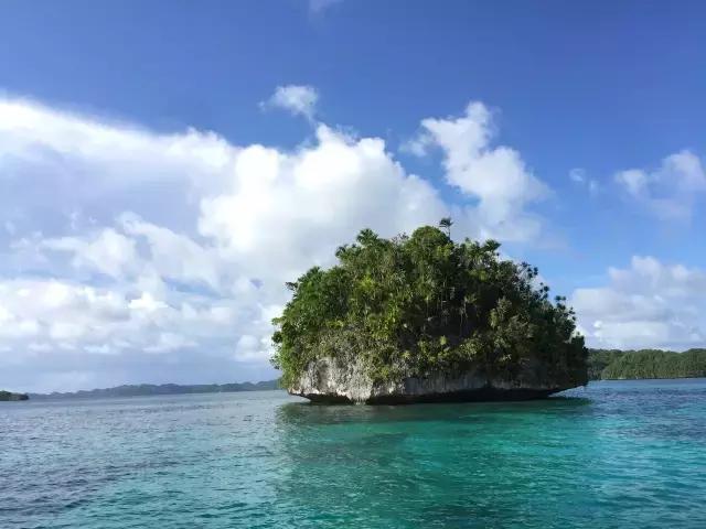 帕劳群岛隐藏攻略,帕劳旅游的优点和缺点